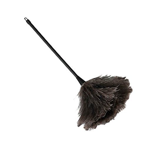 DUST & BRUSHWARE