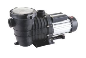 LX LIGHT DUTY POOL PUMP